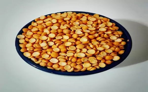 تصویر 4 از قیمت خرید لپه یزدی + فروش عمده